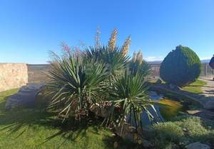 Дом 222м², 2-этажный, участок 10 сот.