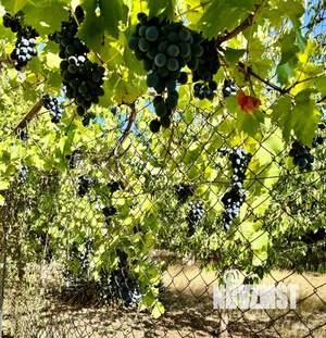 Дом 214м², 3-этажный, участок 6 сот.