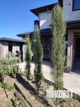 Дом 170м², 2-этажный, участок 7 сот.