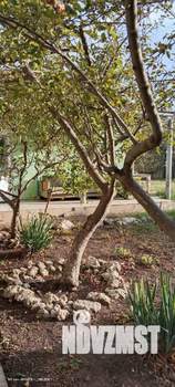 Дом 45м², 1-этажный, на длительный срок, 