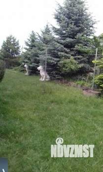 Дом 110м&sup2;, 1-этажный, на длительный срок, 