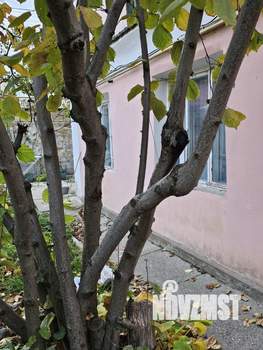 Дом 65м², 1-этажный, участок 11 сот.  