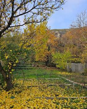 Дом 65м&sup2;, 1-этажный, участок 11 сот.  