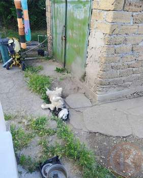 Дом 75м&sup2;, 1-этажный, участок 13 сот.  