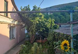 Дом 65м&sup2;, 1-этажный, участок 11 сот.  