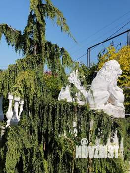 Дом 430м&sup2;, 2-этажный, участок 12 сот.  