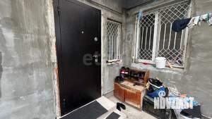 Дом 50м&sup2;, 1-этажный, участок 4 сот.  