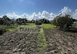 Дом 289м&sup2;, 2-этажный, участок 27 сот.  