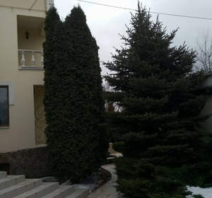 Дом 430м&sup2;, 3-этажный, участок 4 сот.  