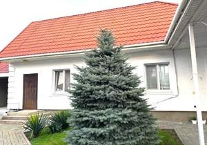 Дом 150м&sup2;, 1-этажный, участок 5 сот.  