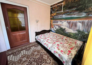 Дом 52м&sup2;, 1-этажный, участок 3 сот.  