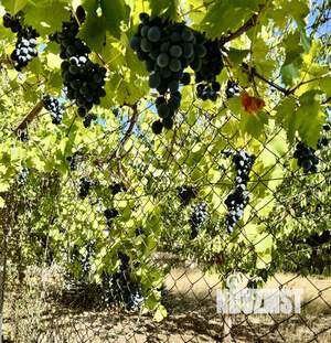 Дом 204м², 2-этажный, участок 6 сот.  