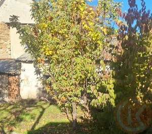 Дом 181м², 3-этажный, участок 4 сот.  