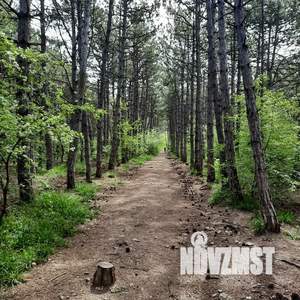 1-к квартира, посуточно, 35м2, 9/9 этаж