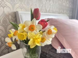 2-к квартира, посуточно, 56м2, 3/5 этаж