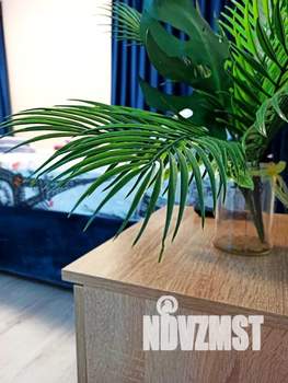 Студия квартира, посуточно, 28м2, 2/3 этаж