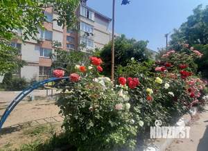 1-к квартира, на длительный срок, 36м2, 3/6 этаж