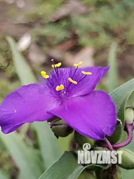 1-к квартира, на длительный срок, 38м2, 4/10 этаж