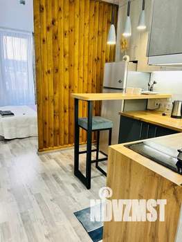 Студия квартира, посуточно, 24м2, 8/9 этаж