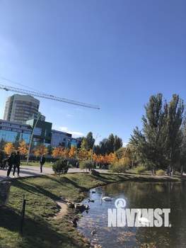 Студия квартира, на длительный срок, 50м2, 16/16 этаж