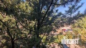 3-к квартира, вторичка, 70м2, 4/5 этаж