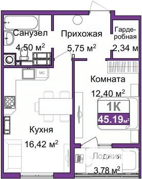 1-к квартира, вторичка, 43м2, 7/9 этаж