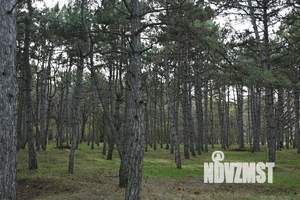 1-к квартира, вторичка, 34м2, 1/5 этаж