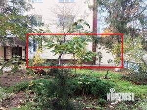 1-к квартира, вторичка, 51м2, 1/5 этаж