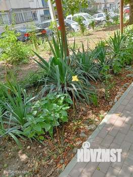 2-к квартира, вторичка, 51м2, 1/5 этаж