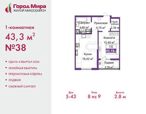 1-к квартира, вторичка, 43м2, 8/9 этаж
