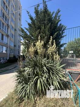 2-к квартира, вторичка, 72м2, 4/10 этаж