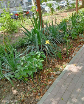 2-к квартира, вторичка, 51м2, 1/5 этаж