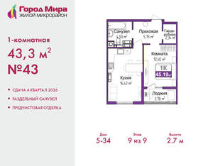 1-к квартира, вторичка, 43м2, 9/9 этаж