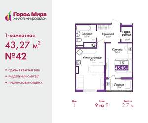 1-к квартира, вторичка, 43м2, 9/9 этаж