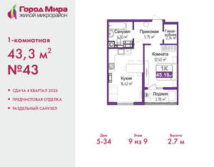 1-к квартира, вторичка, 43м2, 9/9 этаж